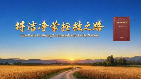 得洁净蒙拯救之路