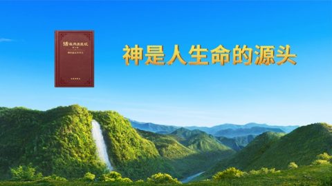 神是人生命的源头