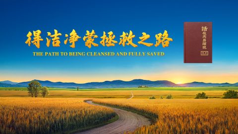 得洁净蒙拯救之路