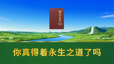 你真得着永生之道了吗