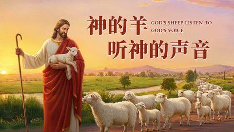神的羊听神的声音
