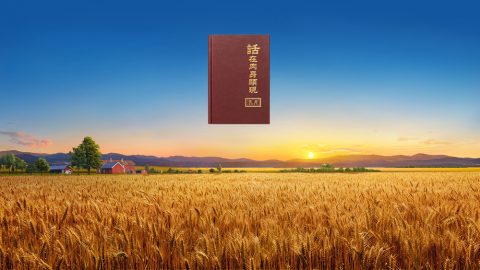 律法时代的工作神是使用摩西作的，为什么末世审判工作神不使用人来作