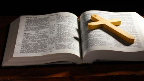 圣经里都是神的话吗