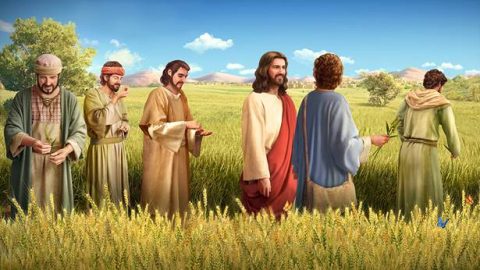 主耶稣在安息日作工