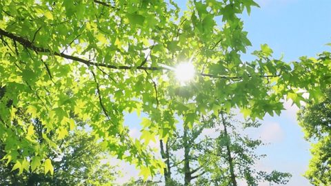 神根据我的败坏与需要，实际地摆设环境让我认识自己。