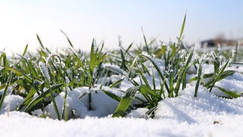 苦难是神的祝福