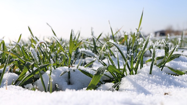 苦难是神的祝福