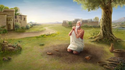 临到病痛该怎么经历