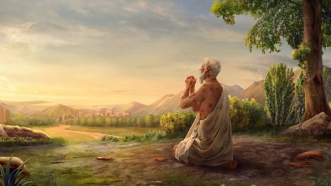 怎样追求才能达到敬畏神远离恶呢？